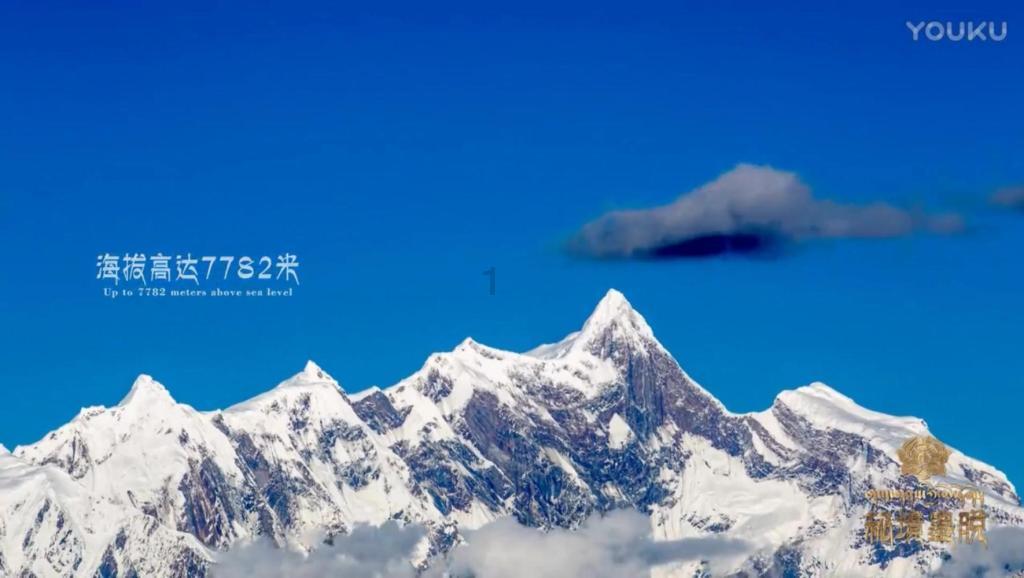 三小只僵尸的游戏时间4