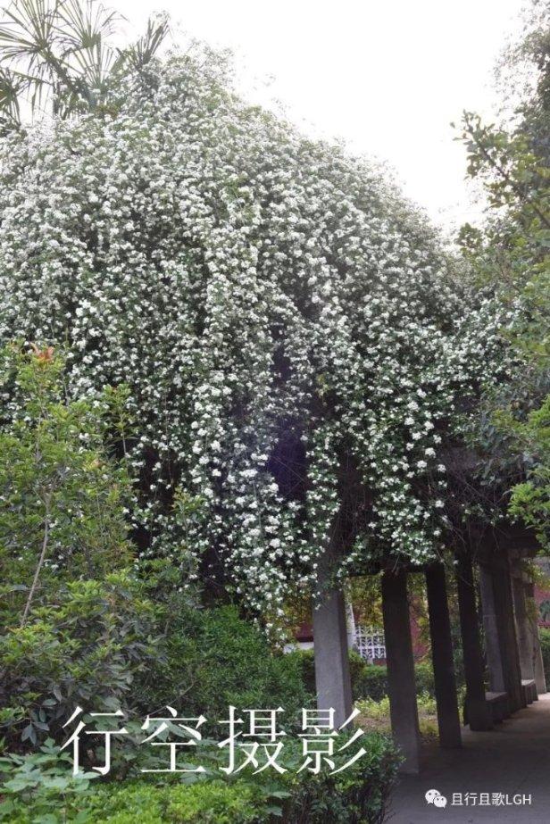 妙笔成画怎么样？——用PS或SAI给二次元原画上色教程
