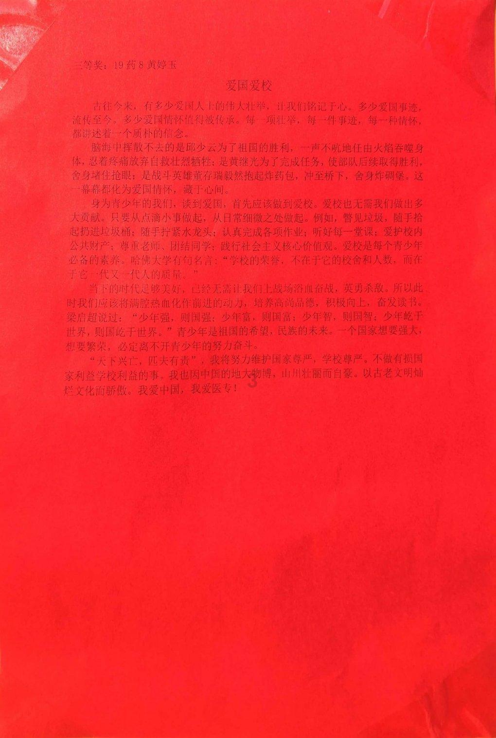 救援猫与武士