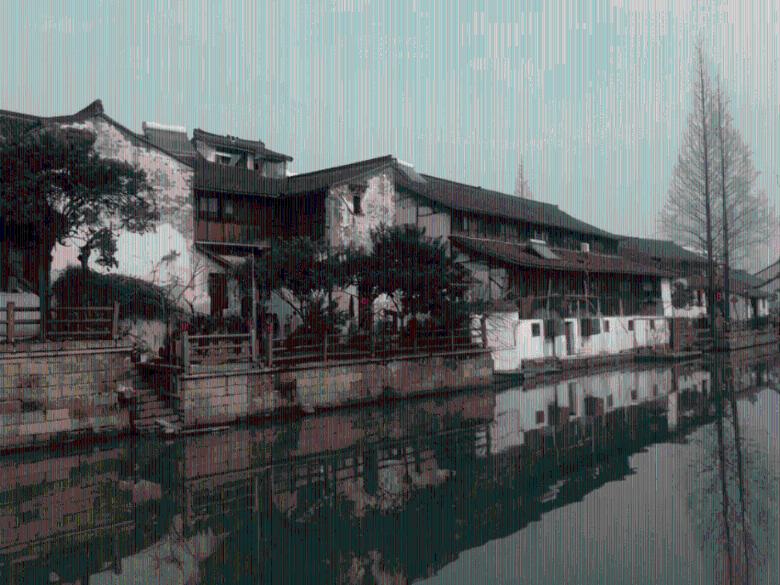 时尚POLO衫